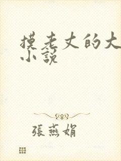 摸老丈的大牛子小说