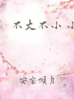 不大不小 小说