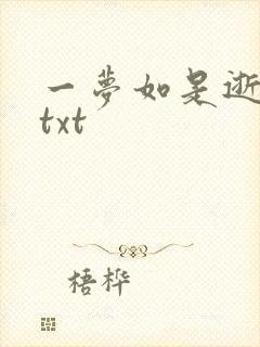 一梦如是逝水长txt