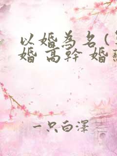 以婚为名 (军婚 高干 婚恋)