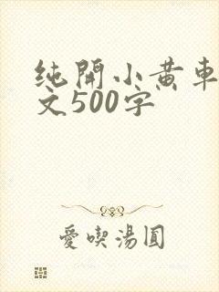 纯开小黄车小短文500字
