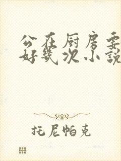 公在厨房要了我好几次小说