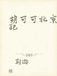 胡可可北京成功记
