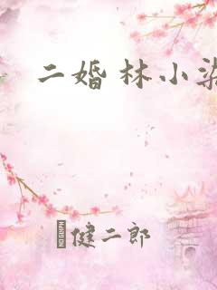 二婚 林小染