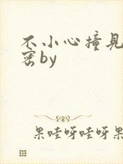 不小心撞见的秘密by