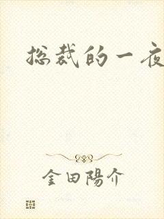 总裁的一夜情人