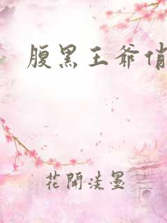 腹黑王爷俏医妃