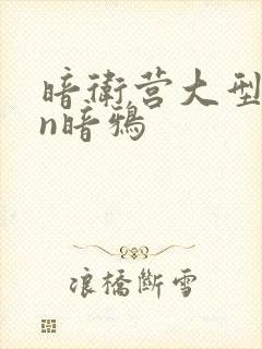 暗卫营大型hpn暗鸦