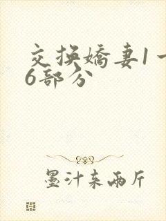 交换娇妻1一36部分