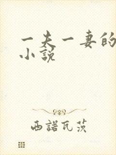 一夫一妻的玄幻小说