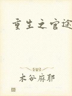 重生之官途辉煌