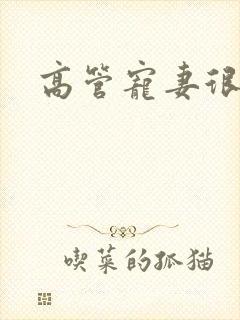 高管宠妻很丰满