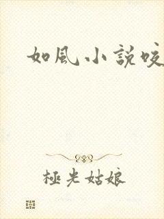 如风小说咬春饼