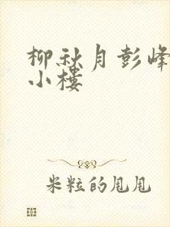 柳秋月彭峰月满小楼