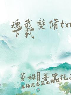 魂武双修txt下载