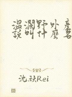 温澜野外产子小说叫什么名字