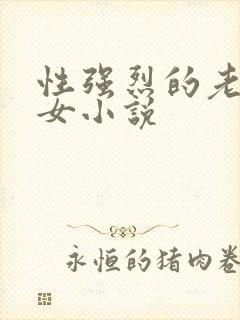 性强烈的老年妇女小说