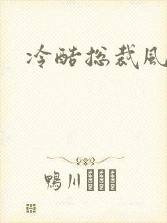 冷酷总裁风流妻