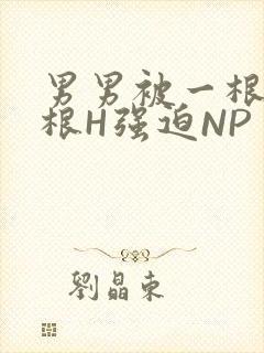 男男被一根又一根H强迫NP