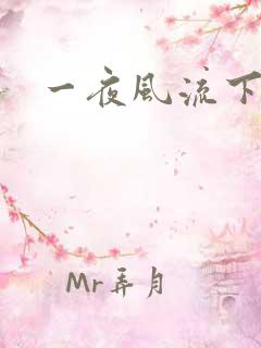 一夜风流下载