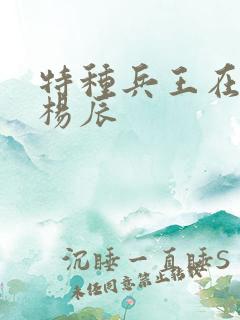 特种兵王在都市杨辰