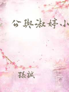 公与淑婷小说