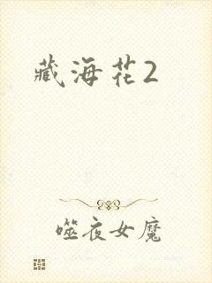 藏海花2