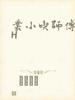 丛小吃师傅的HH