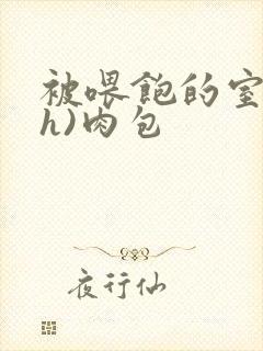 被喂饱的室友(h)肉包