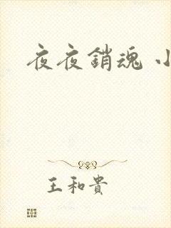 夜夜销魂 小说