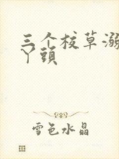 三个校草溺爱拽丫头