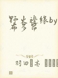 野火边缘by夏布多昂