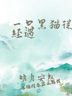 一只黑猫从眼前经过