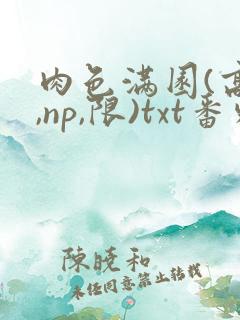 肉色满园(高h,np,限)txt番外篇