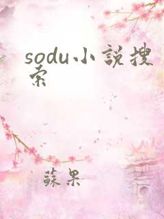 sodu小说搜索