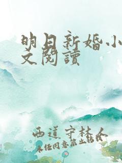 明日新婚小说全文阅读