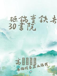 砸锅卖铁去上学30书院