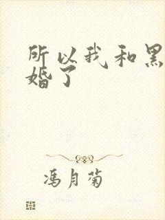 所以我和黑粉结婚了