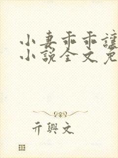 小妻乖乖让我宠小说全文免费阅读