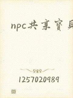 npc共享宝贝