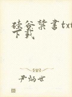 硅谷禁书txt下载