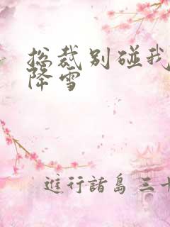 总裁别碰我 韩降雪