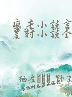 恋老小说言情网农村小说全文阅读