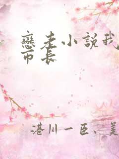 恋老小说我和老市长