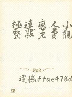 极速恋人小说完整版免费观看