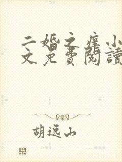 二婚之痒小说全文免费阅读