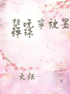 楚晚宁被墨燃塞弹珠