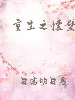 重生之怀璧其罪