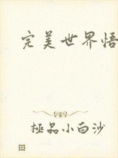 完美世界悟性石