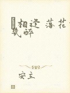 囍相逢 落花能几醉